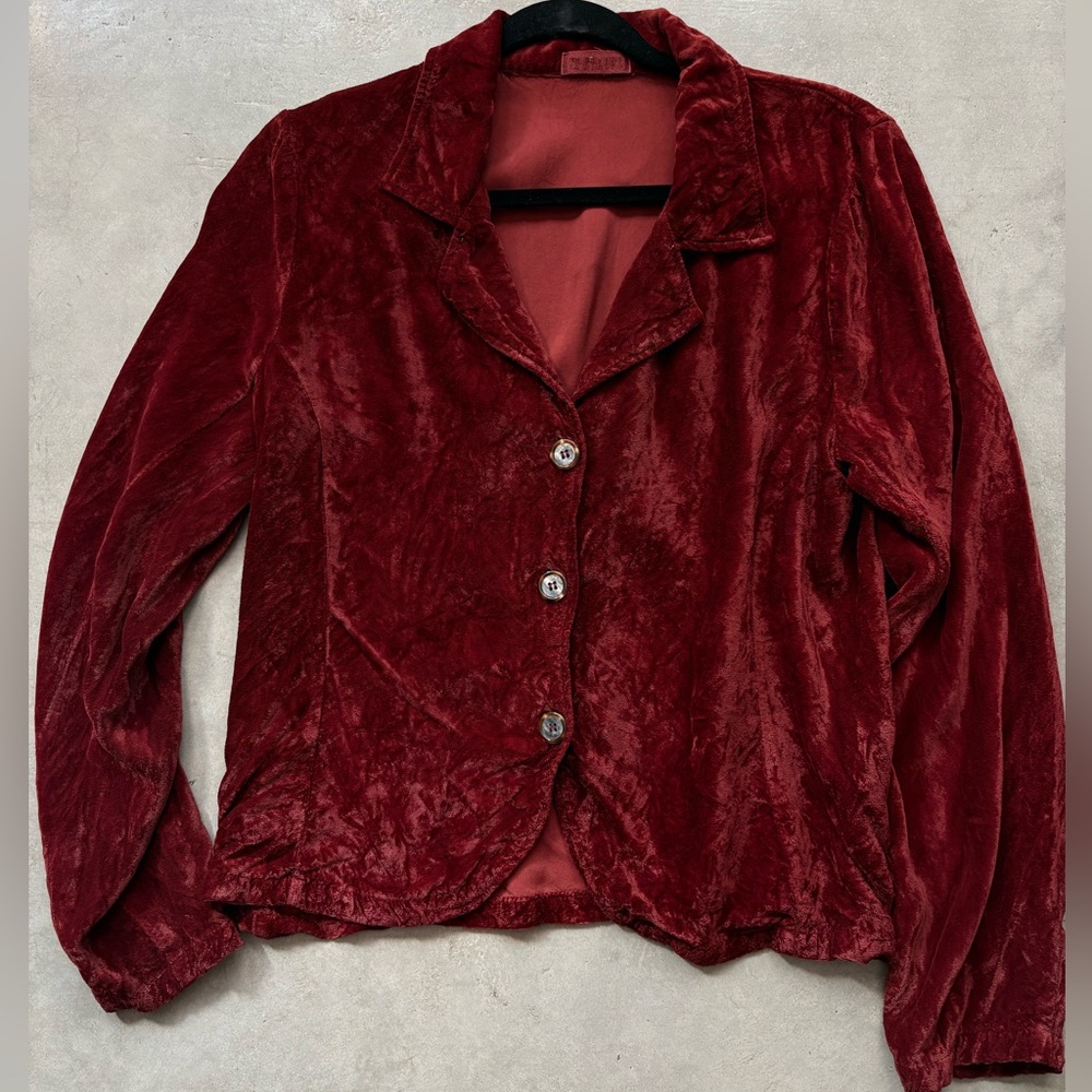 CP Shades Velvet Top